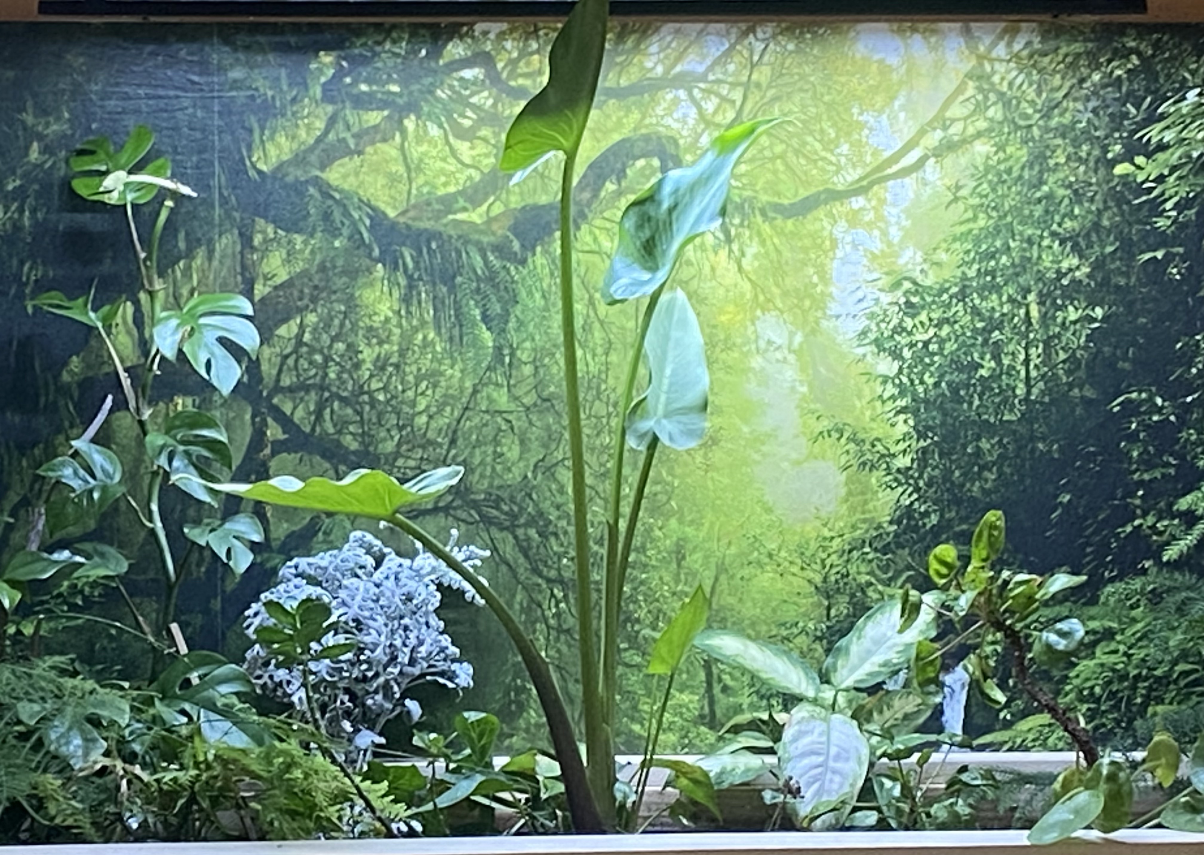 Bild #1 von Judith Eouzan