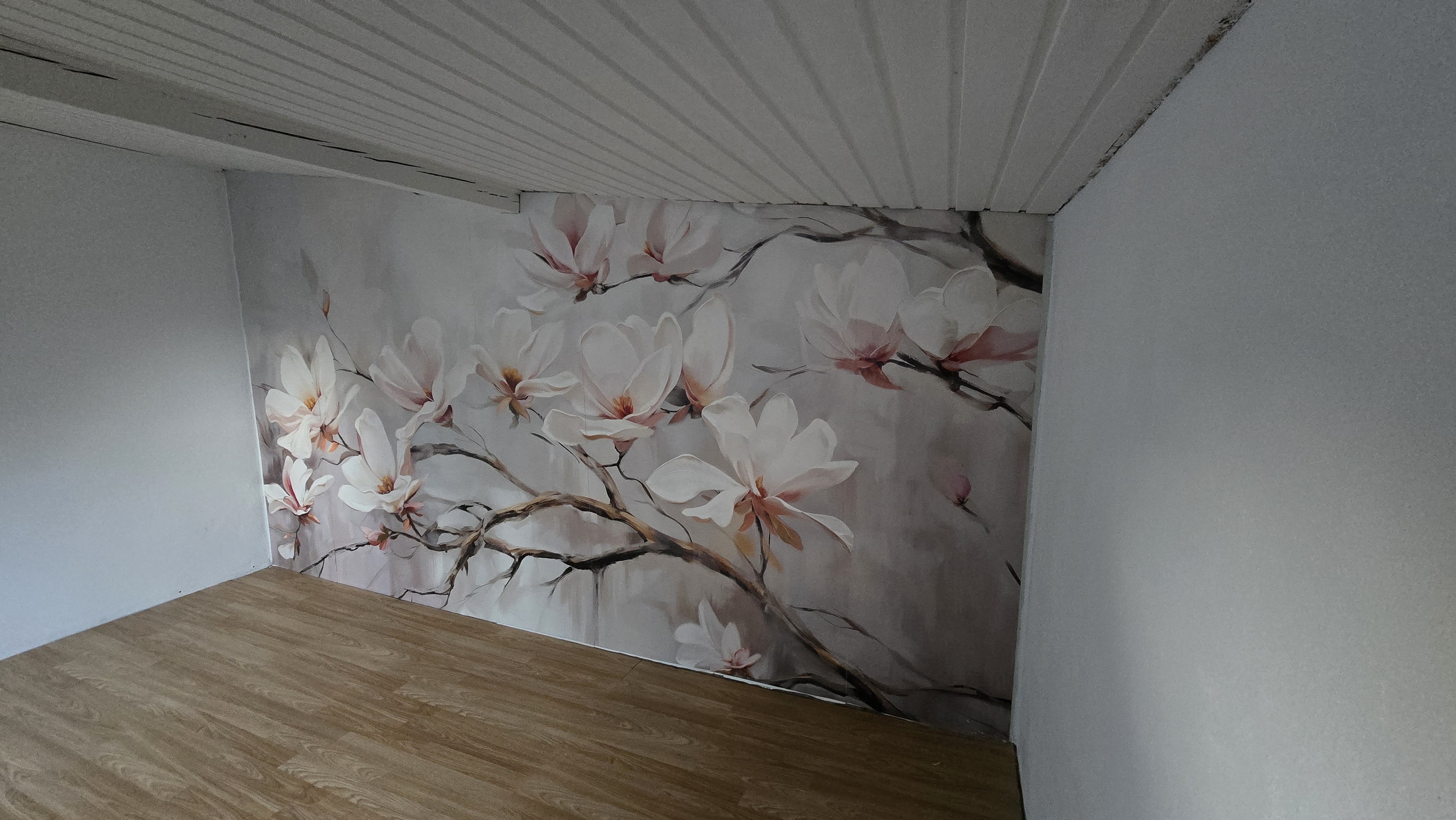 Bild #3 von Agata Anusiak