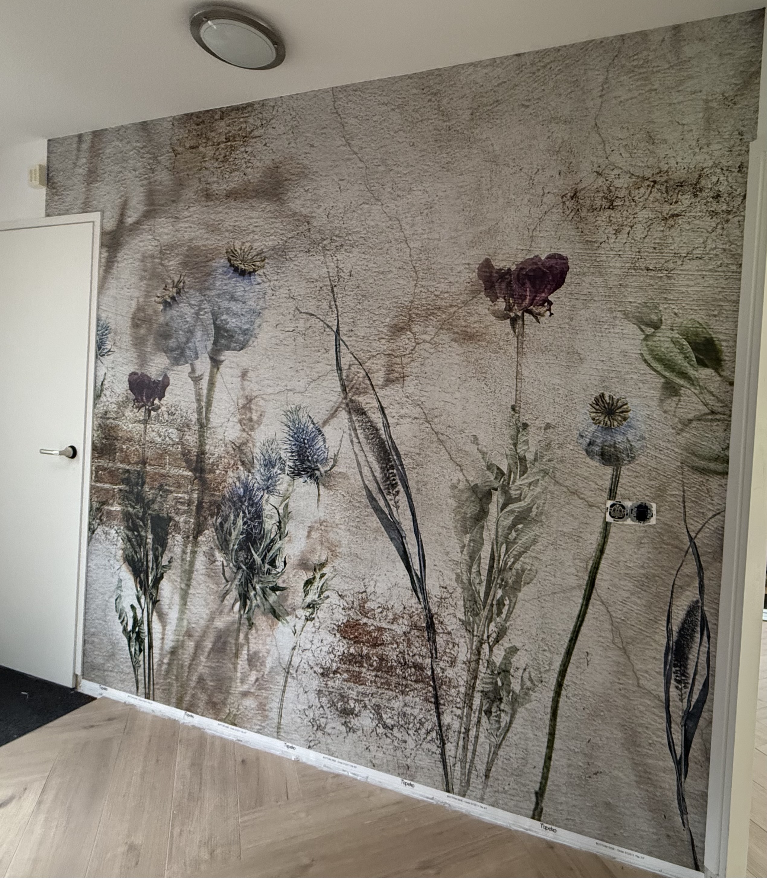 Bild #2 von Anoniem
