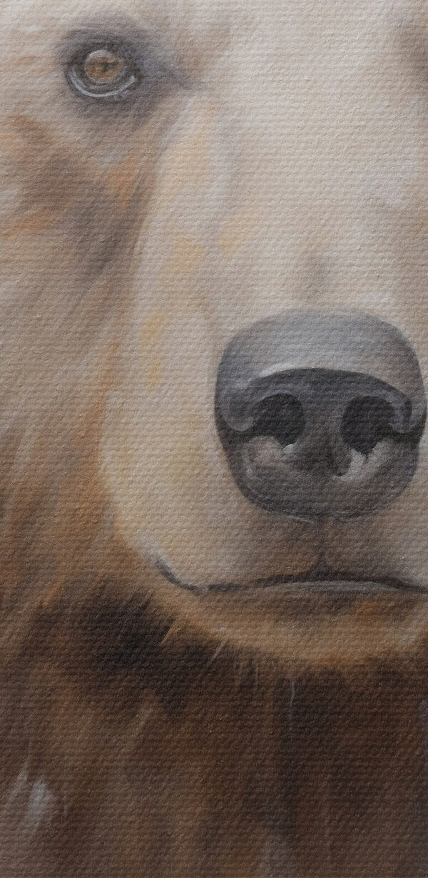 Painting of a bear