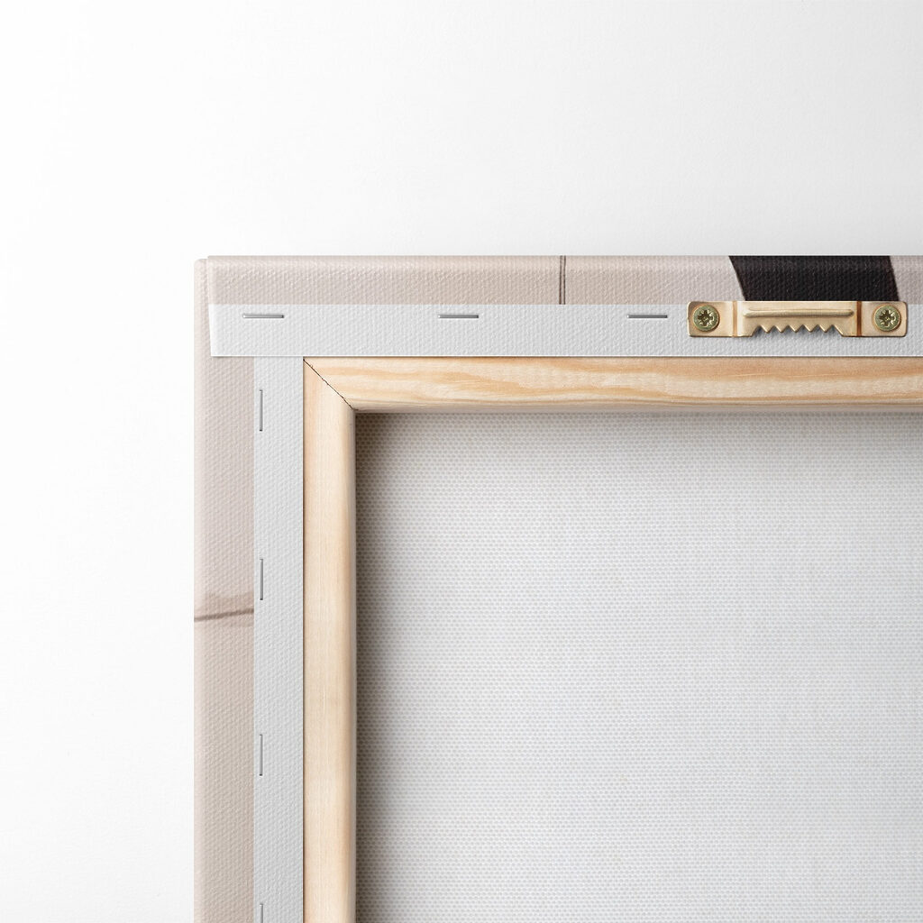 Dynamic curves in soft tones