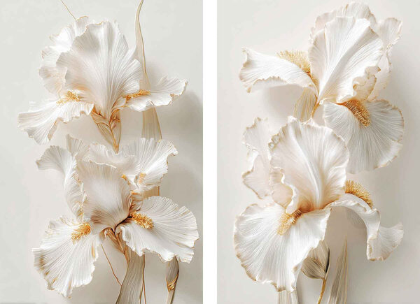 Collage of white flowers