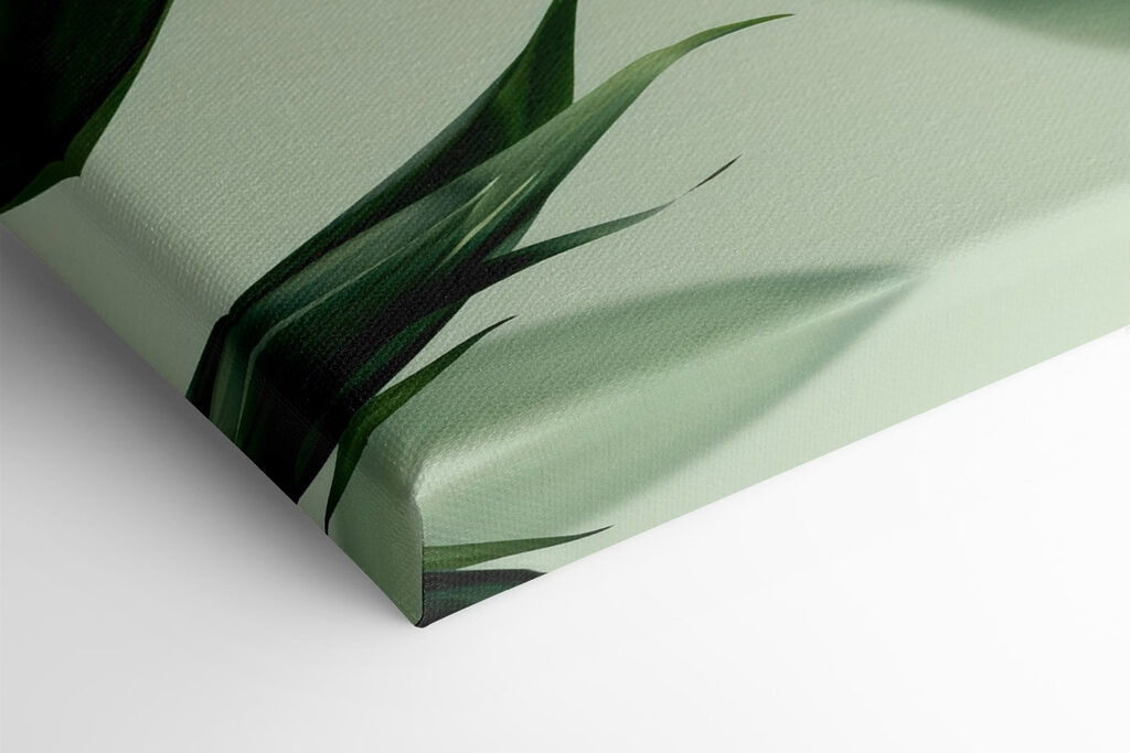 Lush green leaves against soft backdrop