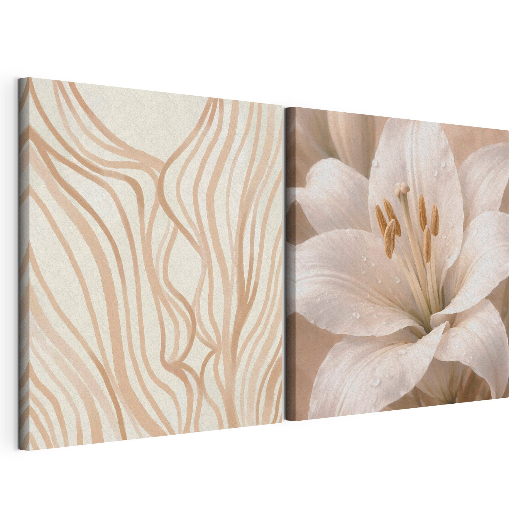 Smooth lines and elegant lilies