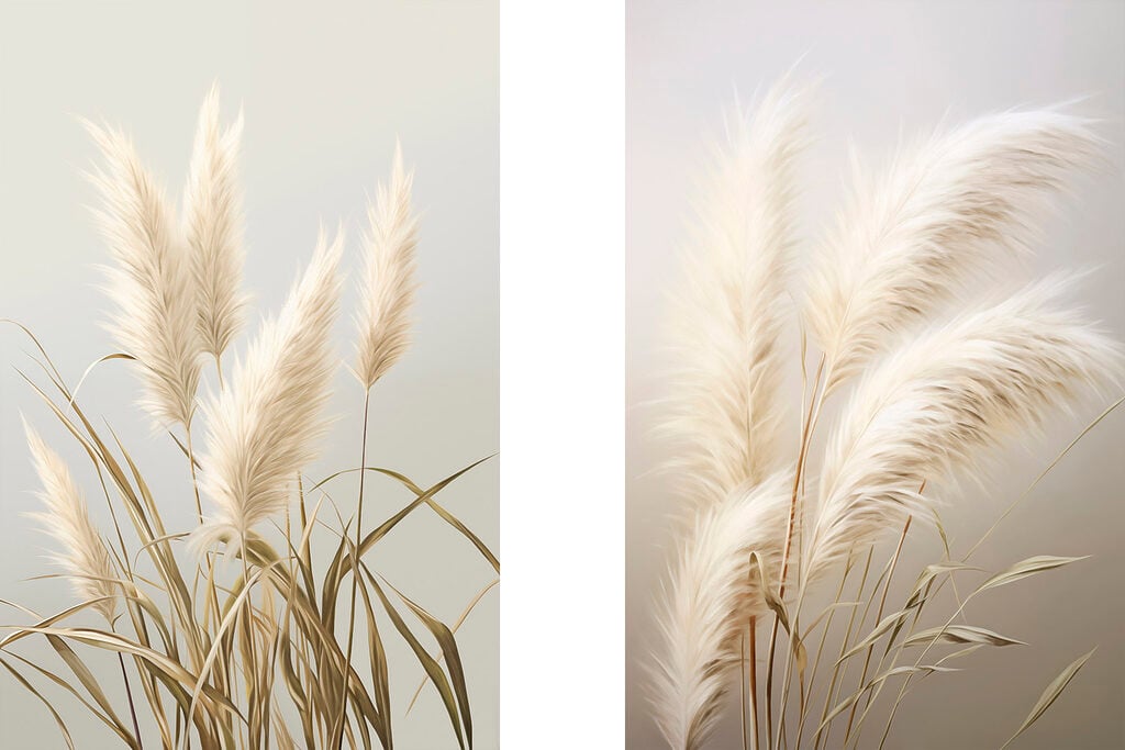 Elegant grasses for serene spaces