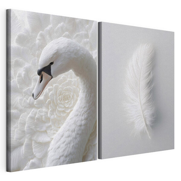 White feather and a swan