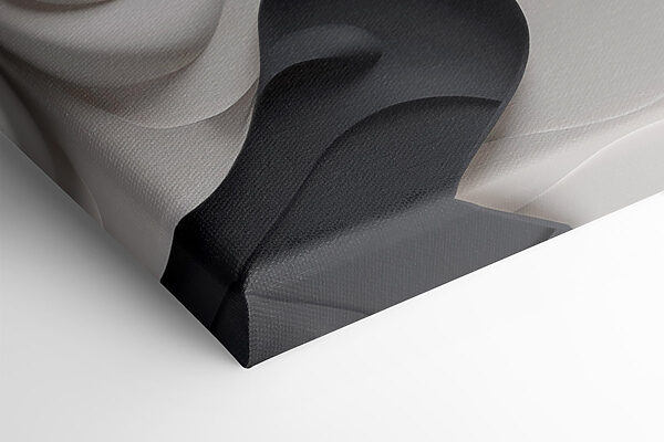 - Fluid shapes in monochrome tones