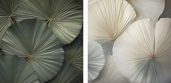 - Intricate fans in soft colors