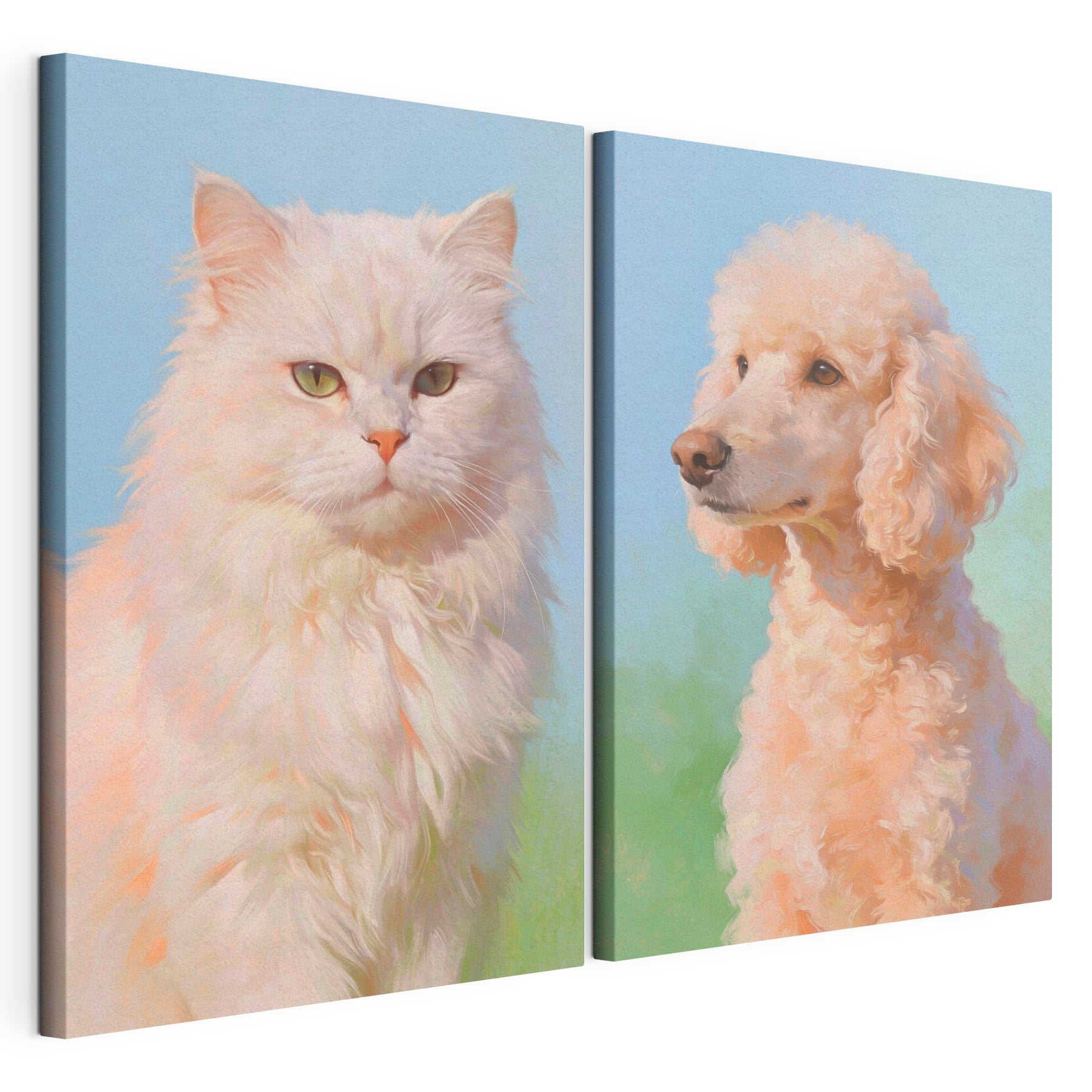 Cat and dog looking at the camera