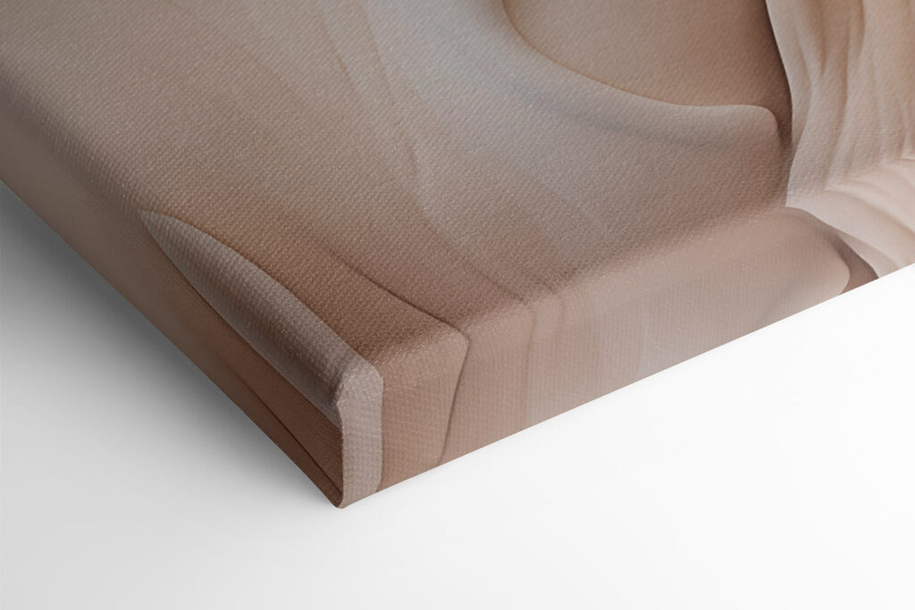 Soft curves in warm tones