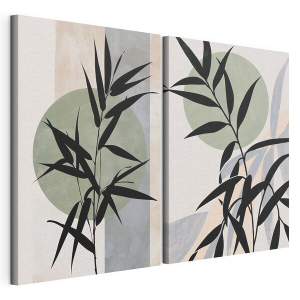 Two images of a plant