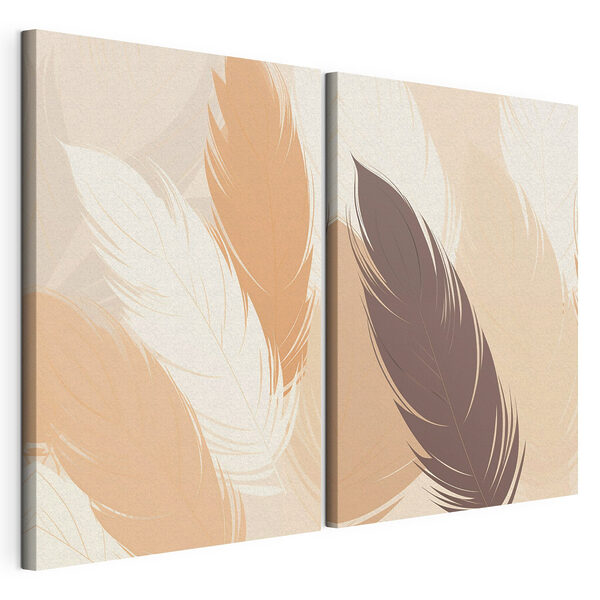 Soft hues of elegant feathers