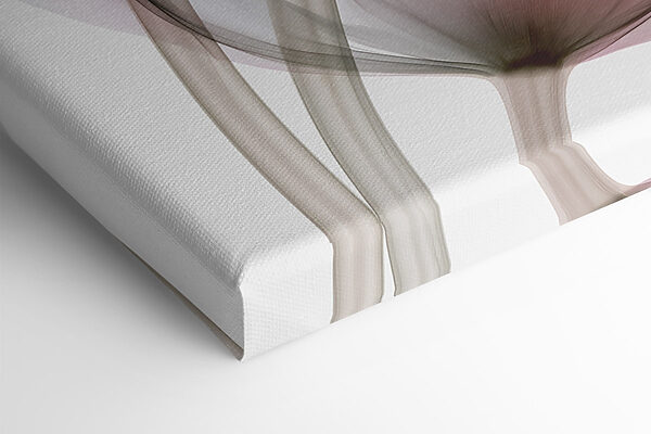 Delicate petals in soft hues