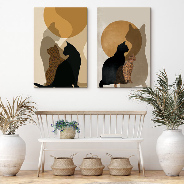 Cat and a cat with a cat in the sun