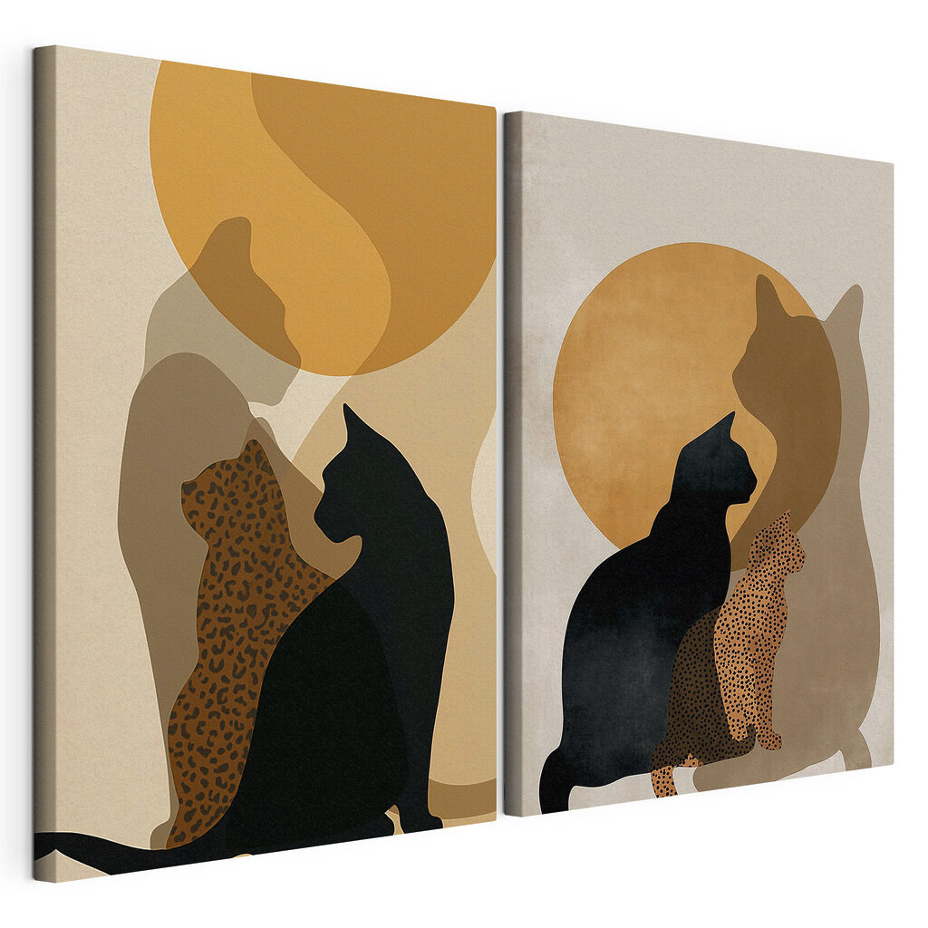 Cat and a cat with a cat in the sun