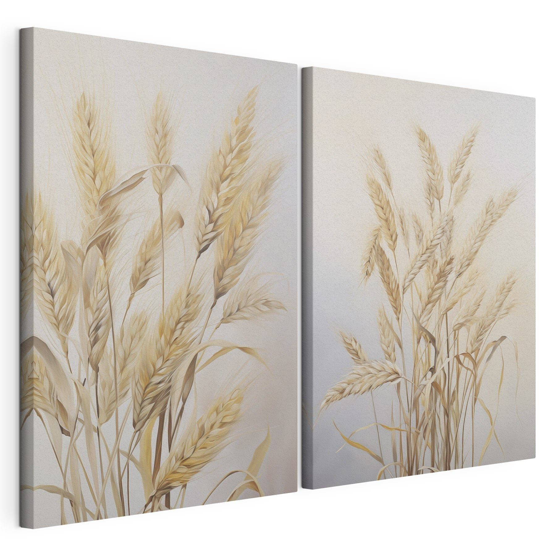 Painting of wheat on a white background