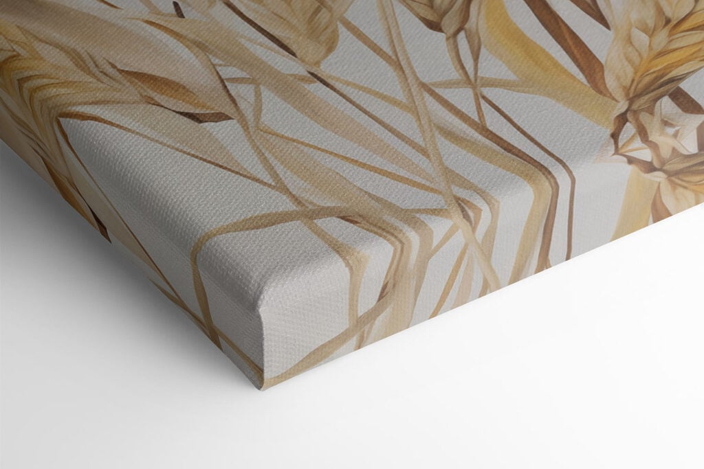 Painting of wheat on a white background