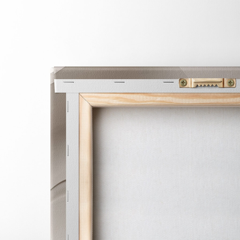 Soft curves in neutral tones