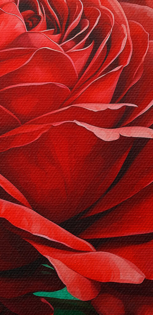 s40339pzvl 499x1024 - Lebendige Blüte in voller Blüte - tegory