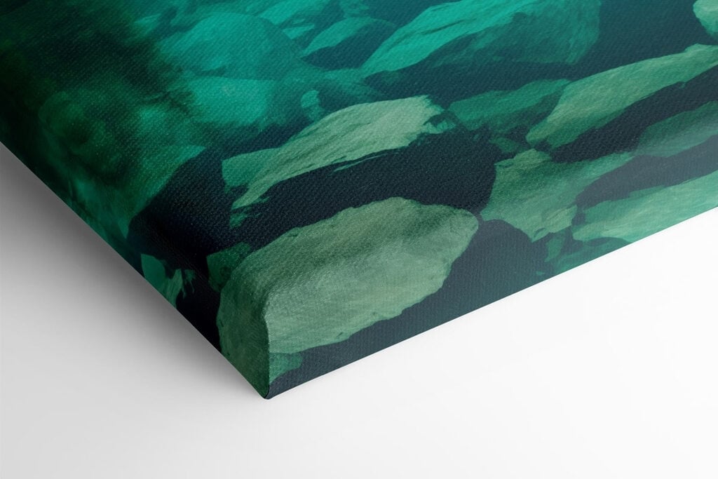 Mountain lake with trees and rocks
