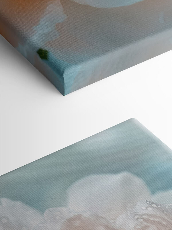 Delicate petals adorned with droplets