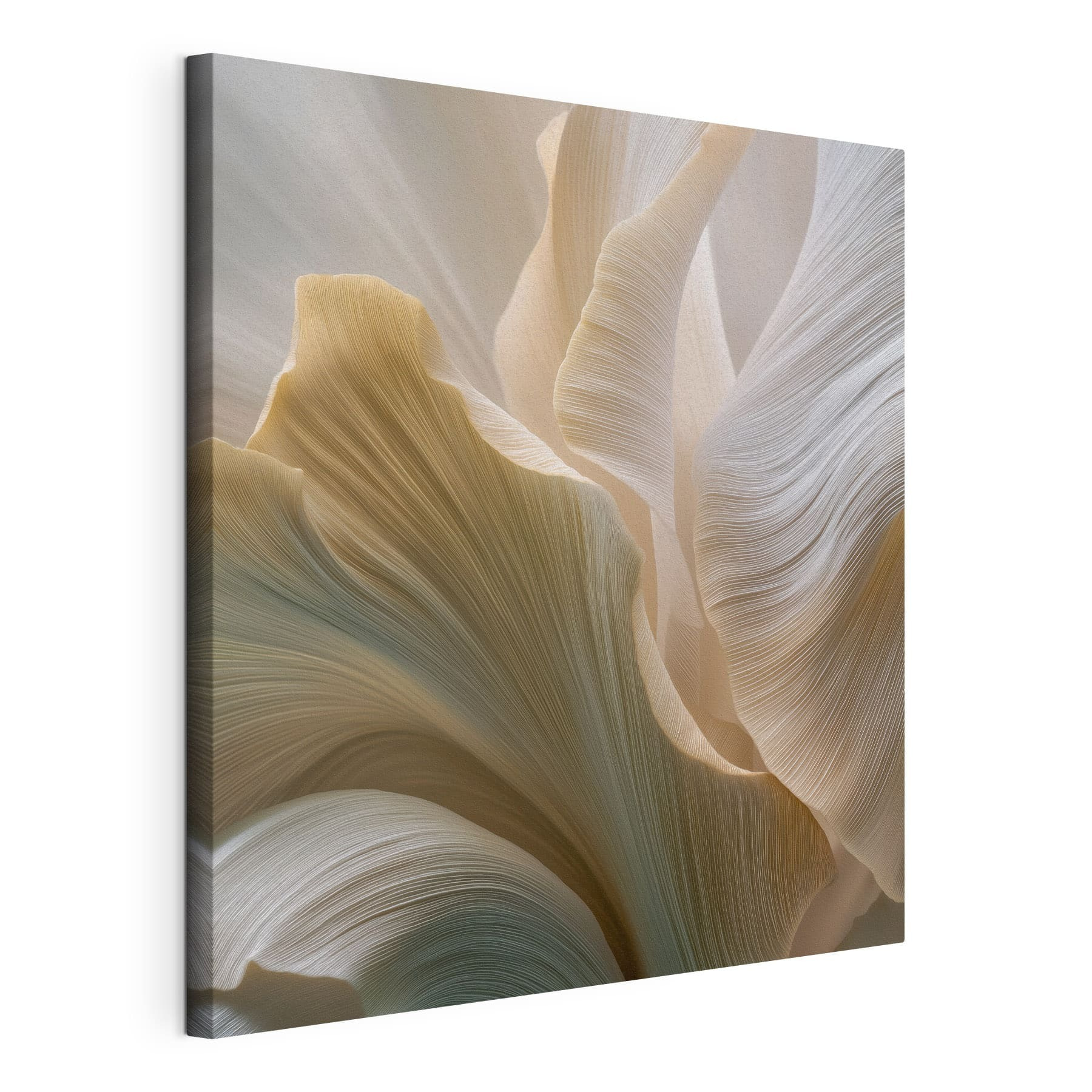 Wandbilder Die zarten, wellenförmigen Muster der Natur (Artikelnummer: s49945) Wandbilder Wandbilder Die zarten, wellenförmigen Muster der Natur (Artikelnummer: s49945)
