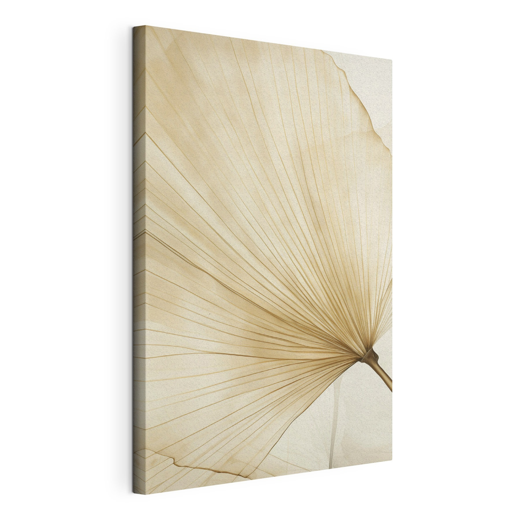 Wandbilder Zarte Linien der Natur (Artikelnummer: s50021) Wandbilder Wandbilder Zarte Linien der Natur (Artikelnummer: s50021)